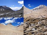 42 The Trail Down The Eastern Valley Rejoins The Trail From Selung Gompa With Some Sheep On The Hills On Mount Kailash Inner Kora Nandi Parikrama